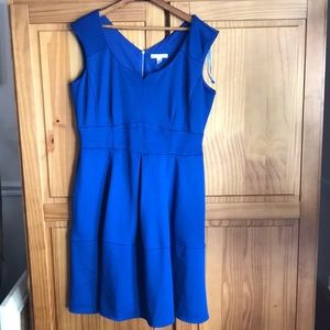 Bright blue work dress